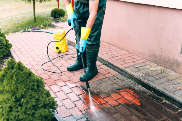 Best Building Exterior Pressure Washing in Marshall, WI