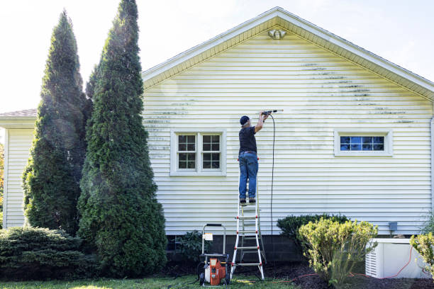 Best Gutter Cleaning and Brightening in Marshall, WI